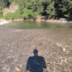 Una siluette con sfondo il fiume.