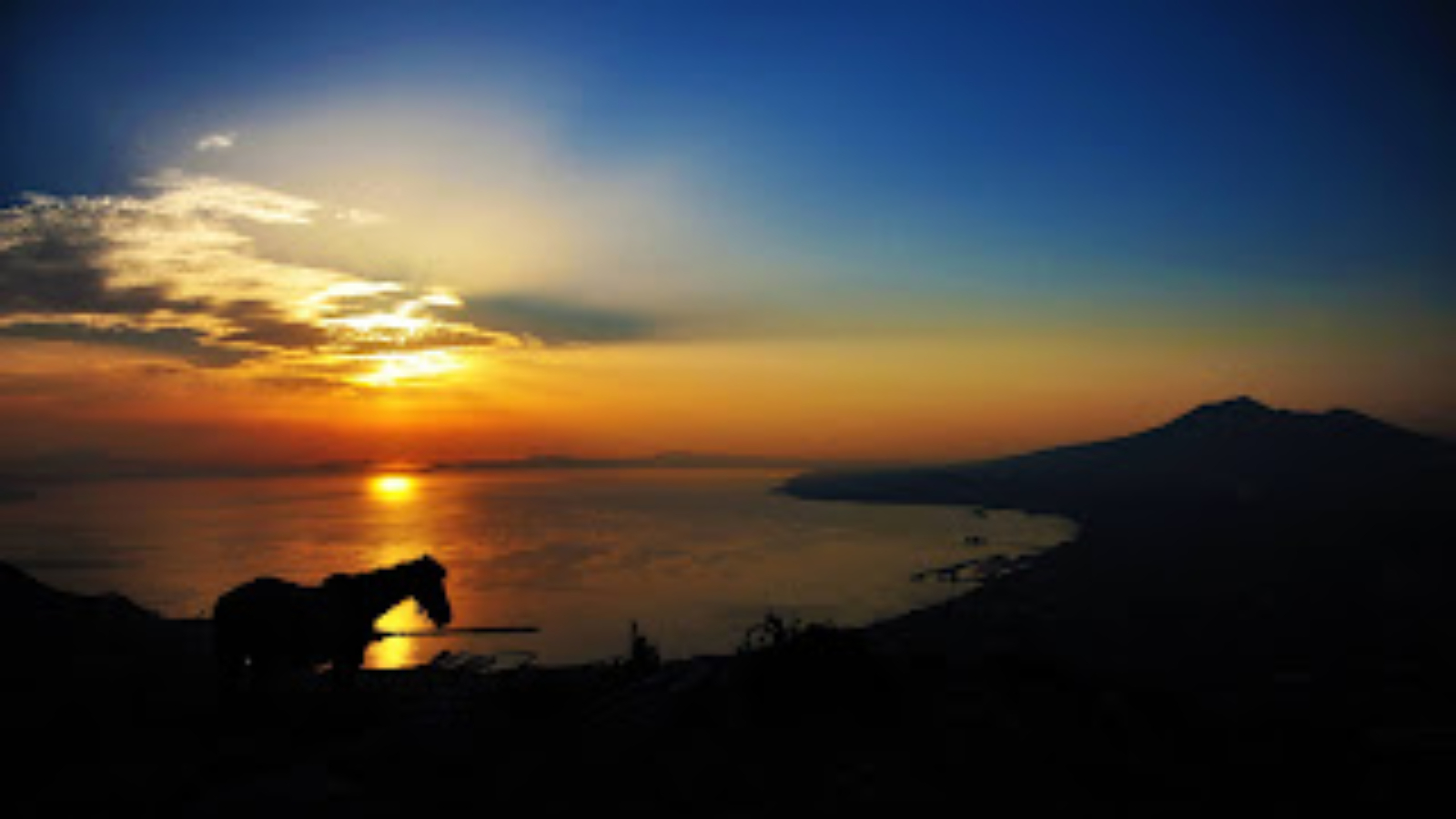 Un cavallo al tramonto con lo sfondo del vesuvio