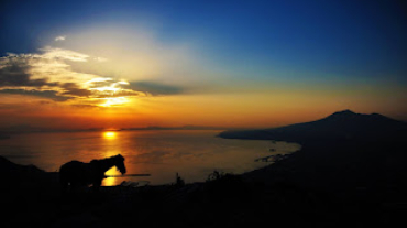 Un cavallo al tramonto con lo sfondo del vesuvio