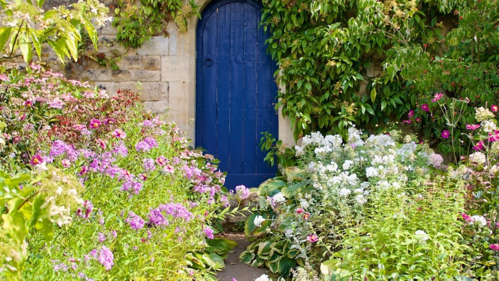 Una porta blu attraverso un giardino fiorito