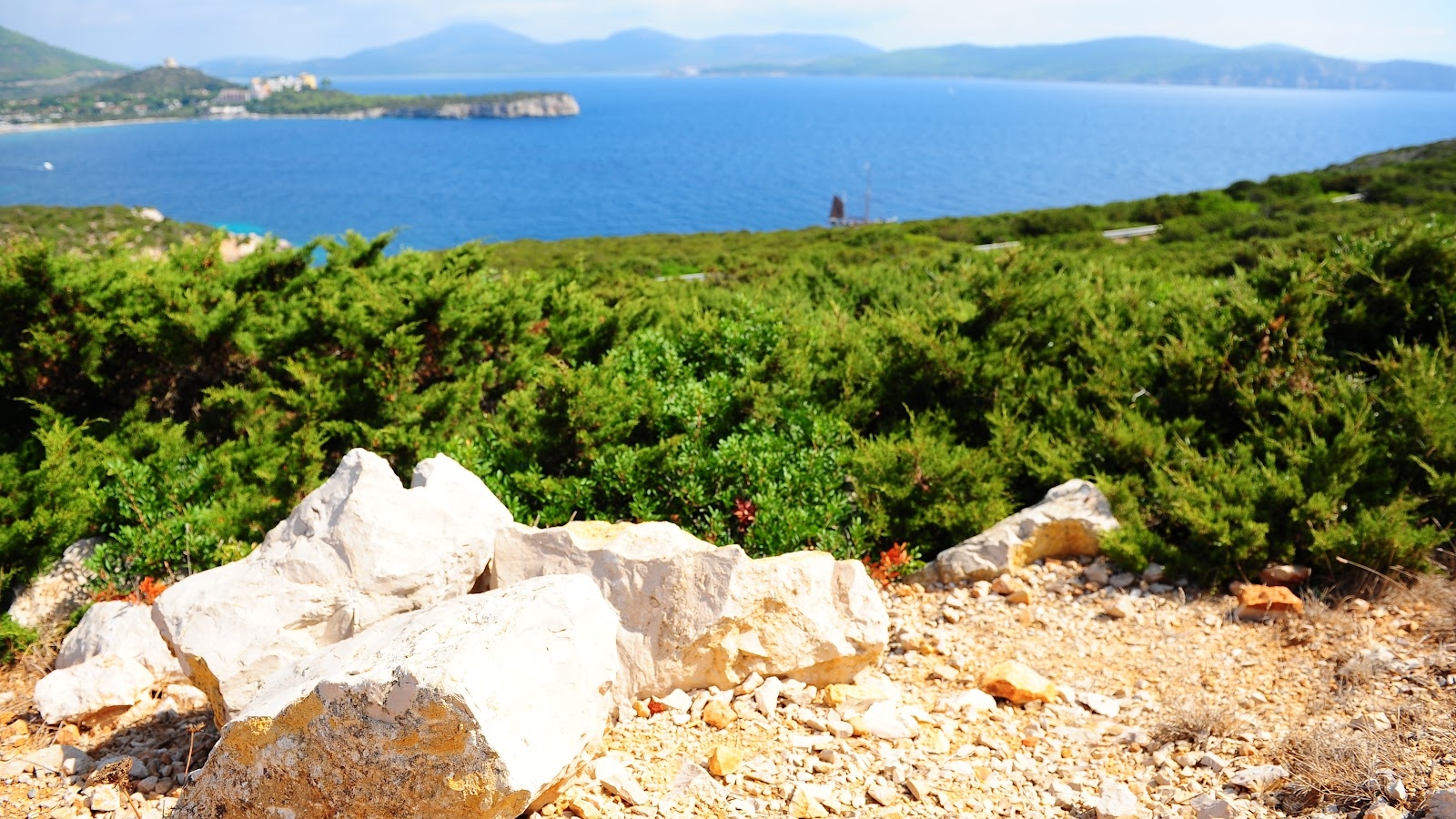 Una scogliera su un mare blu con in primo piano roccia e piante