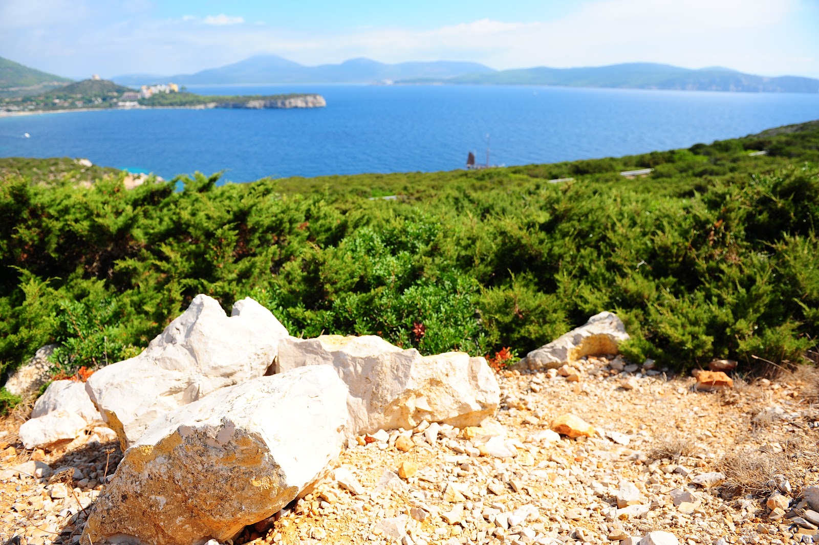 Una scogliera su un mare blu con in primo piano roccia e piante
